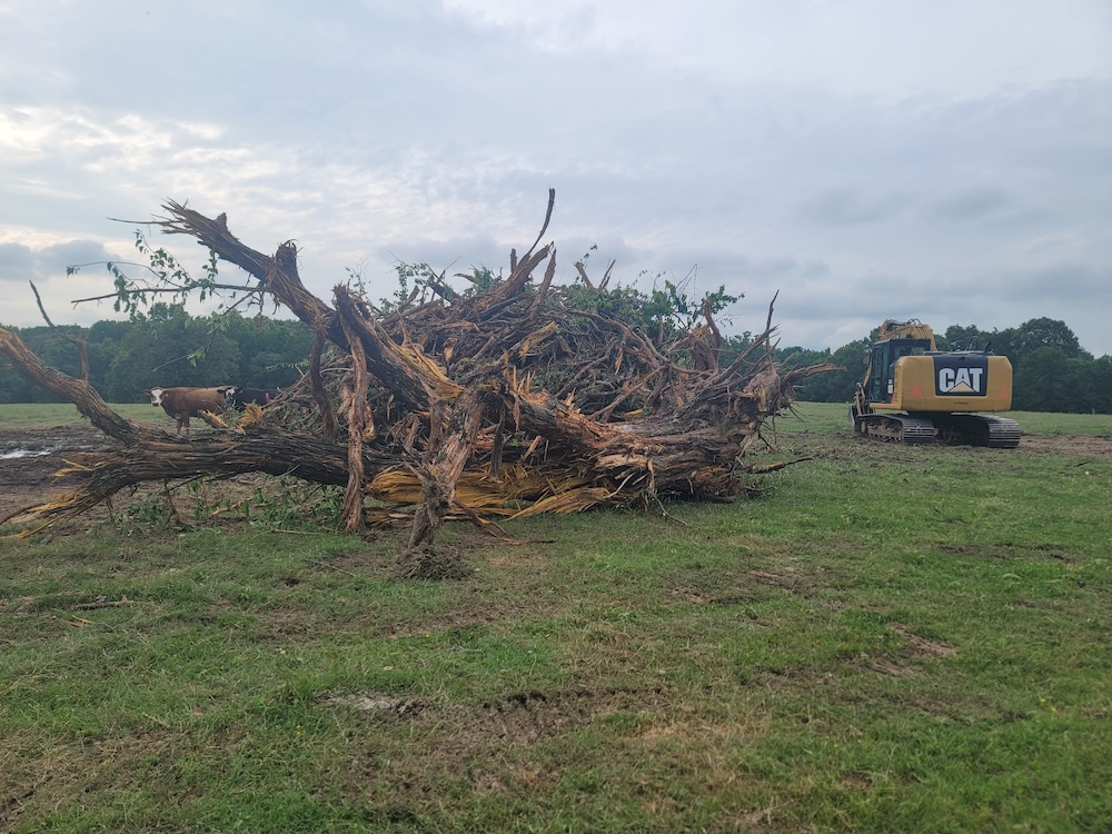 Excavation and land clearing with CAT excavator in East Texas